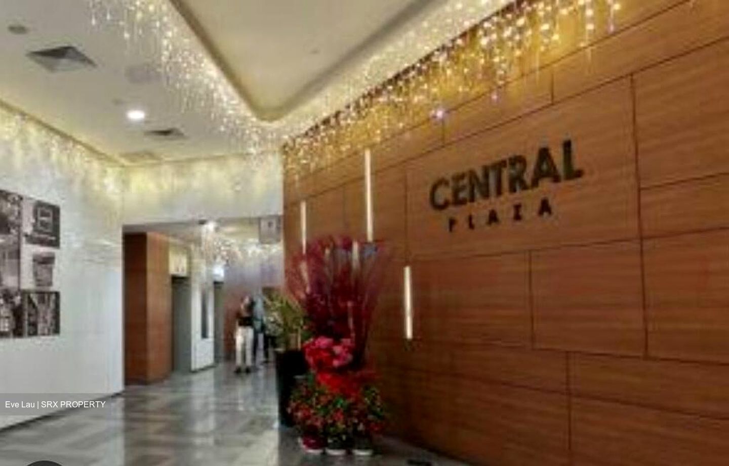 Central Plaza (D3), Office #460151631